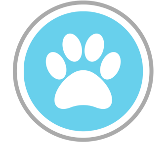 City Paws Pet Club