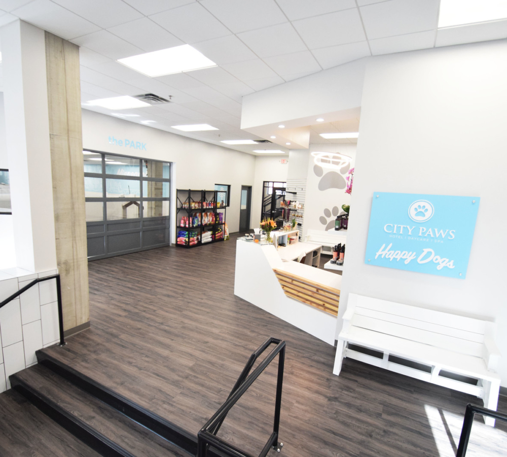 Gallery City Paws Pet Club // Dog Daycare, Boarding & Full Service