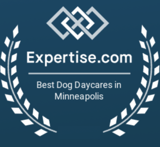 https://citypawspetclub.com/wp-content/uploads/2026/03/Screenshot-2024-04-11-at-10.38.56-AM-325x300-3-copy-325x300.png